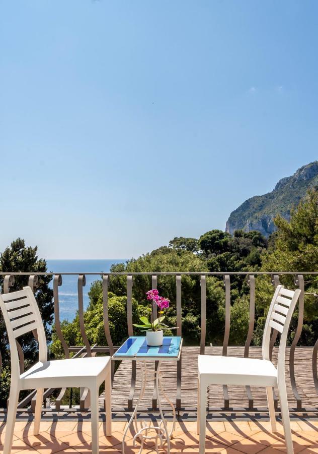 Oliveto Capri Apartments Екстер'єр фото